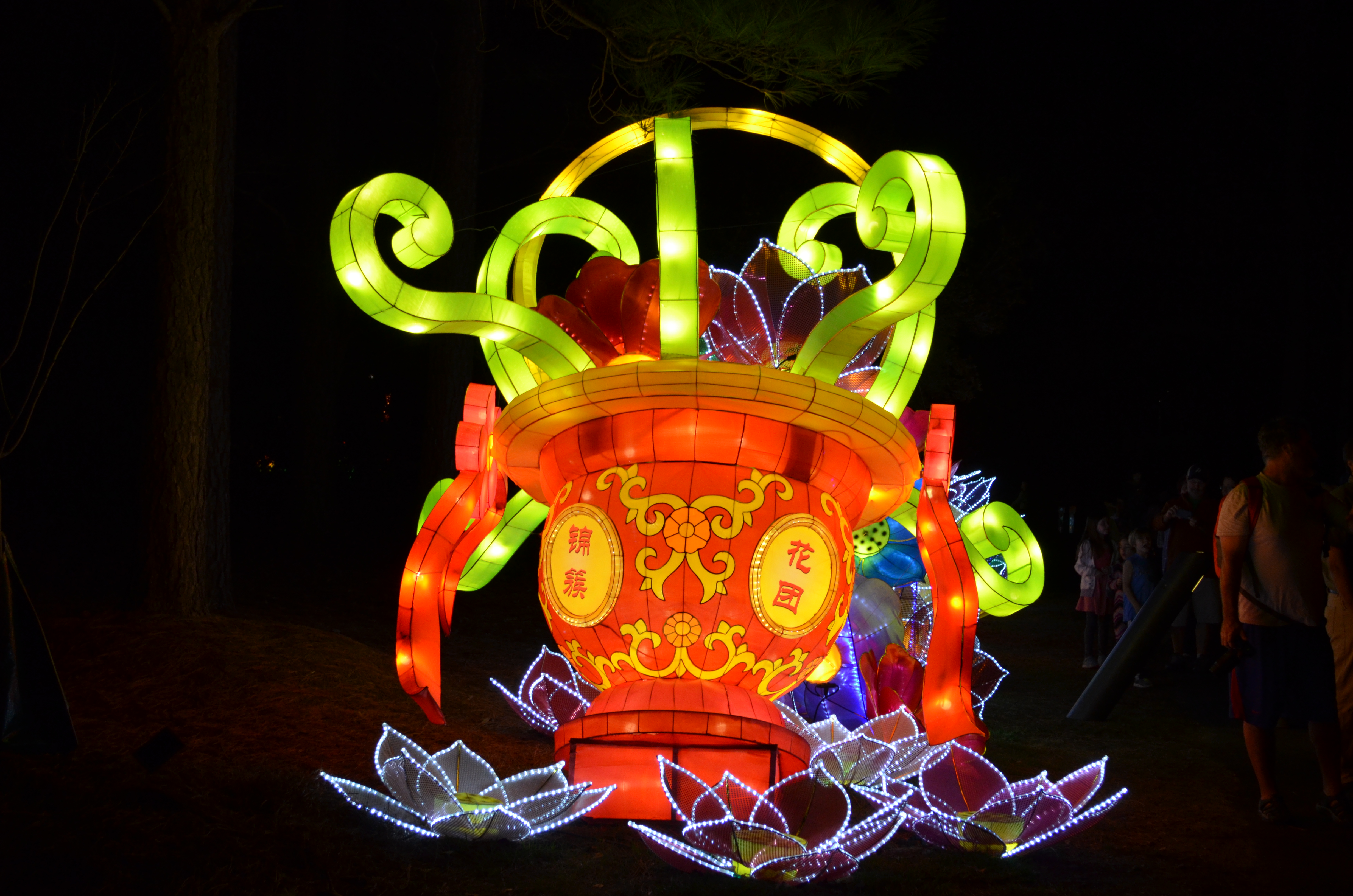 ./2015/33 - Chinese Lantern Festival/DSC_0617.JPG